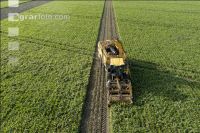 Sugar beets harvest 208