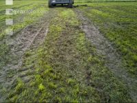 Soil compaction grassland 3