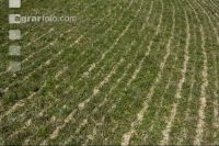 Slurry crust towed hose 5