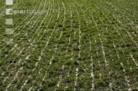 Slurry crust towed hose 4