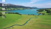 Am Irrsee 01