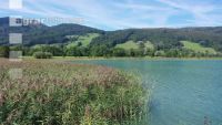 Am Irrsee 04