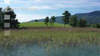 Am Irrsee 09