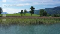 Am Irrsee 10