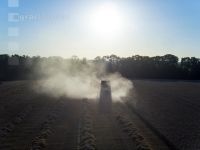 Wheat harvest sunset 1