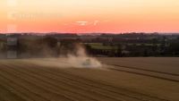 Weizenernte im Abendlicht 7
