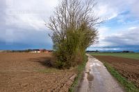 Agricultural area 1.April 4