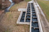 Fischtreppe 1
