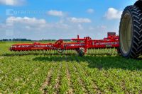 Curry-comb grain 21