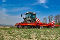 Curry-comb grain 28