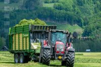 Grassilage Ladewagen 8