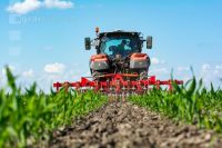 Hoeing biological maize 3