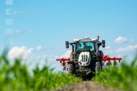 Hoeing biological maize 5