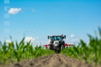 Hoeing biological maize 6