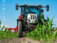 Hoeing biological maize 10