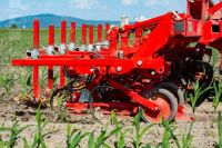 Hoeing biological maize 12