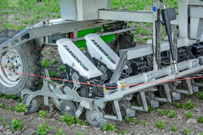 Sä Hackroboter Koriander 15