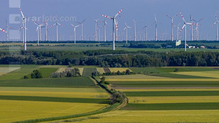 Windpark 4