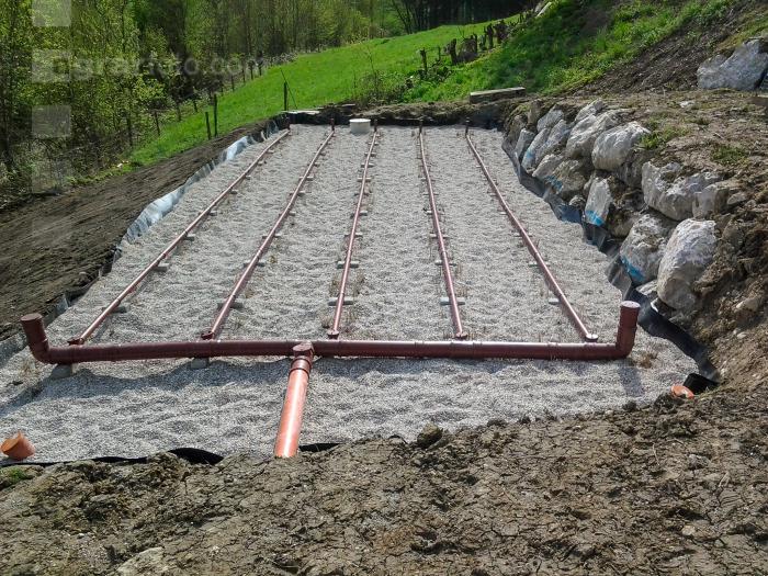 Pflanzenkläranlage 14
