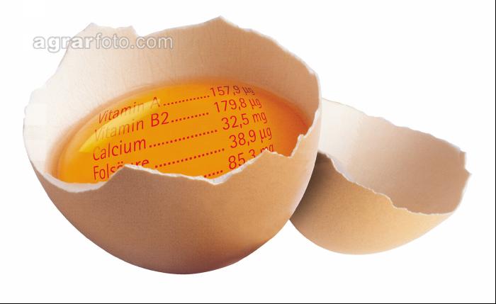 Ei Vitamine