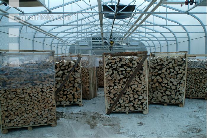 Holz Trocknung 2