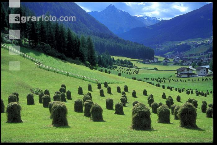 Auf der Alm 25