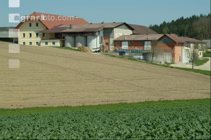 Bauernhaus 1