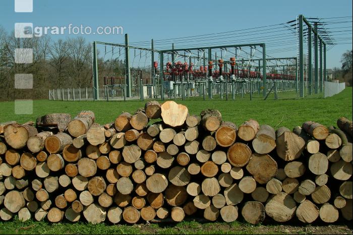 Strom Holz 