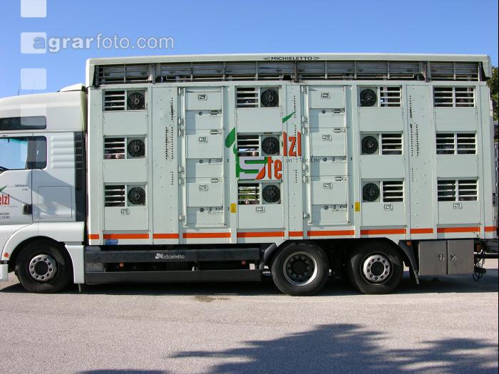 Tiertransporte 11