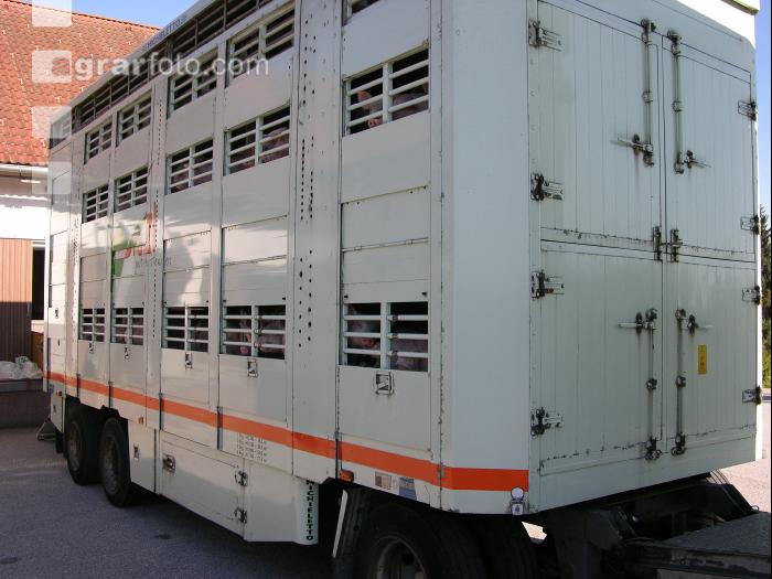 Tiertransporte 13