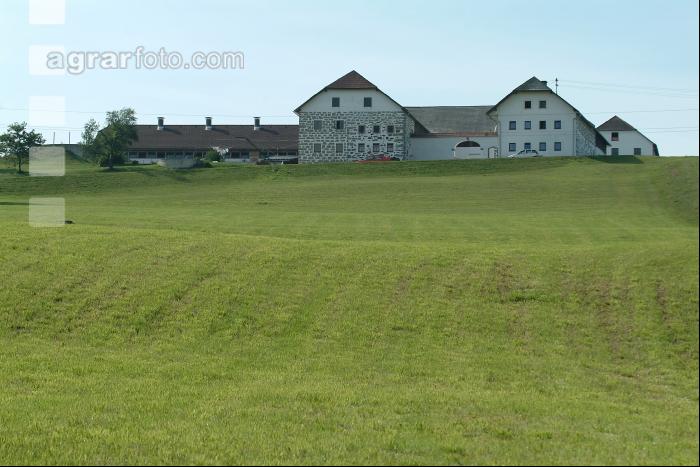 Bauernhof 8