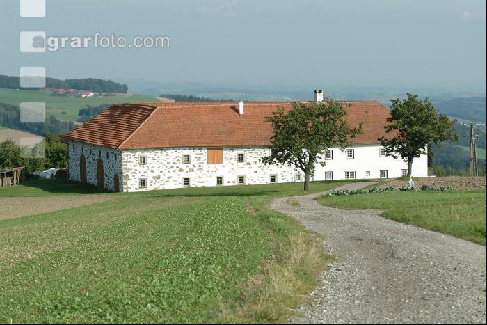 Bauernhof 11