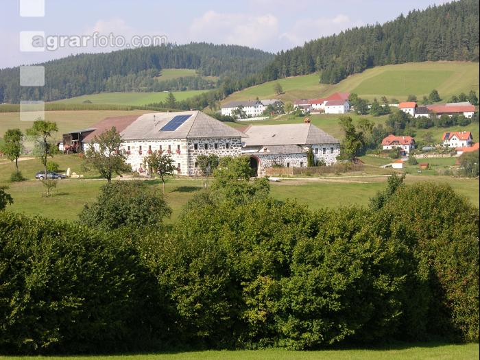 Bauernhof 12