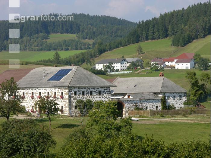 Bauernhof 13