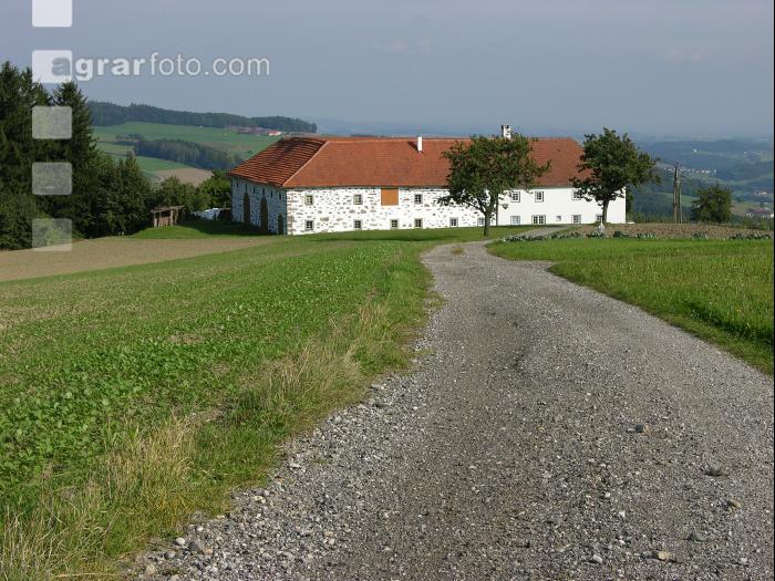 Bauernhof 14