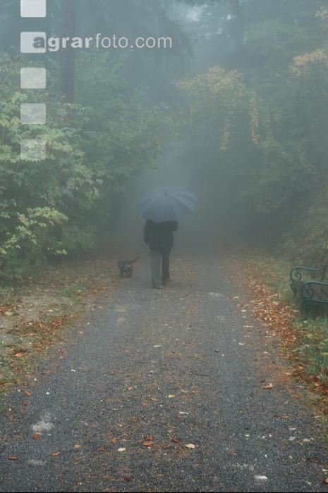 November