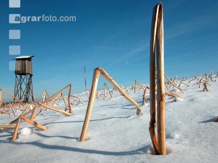 Hochstand 13