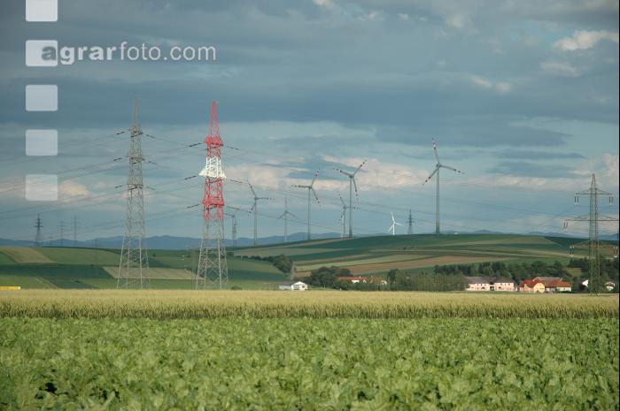 Windrad 11