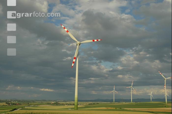 Windrad 6