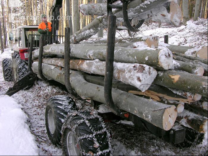 Holz laden 2