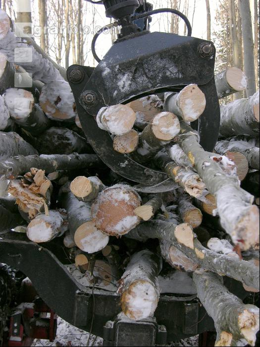 Holz laden 14