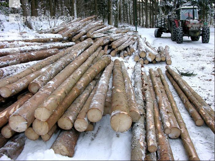 Holz laden 22