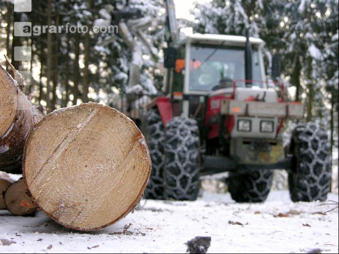 Holz laden 23