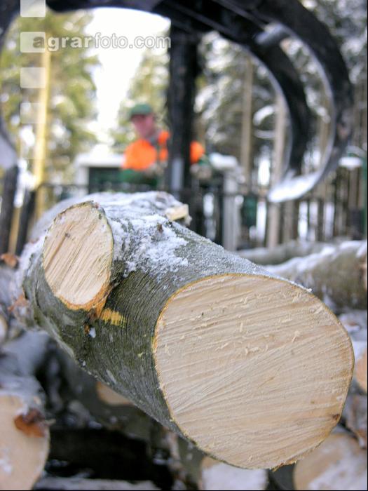 Holz laden 26