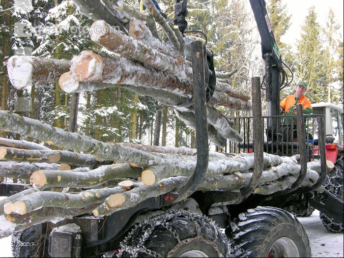 Holz laden 27