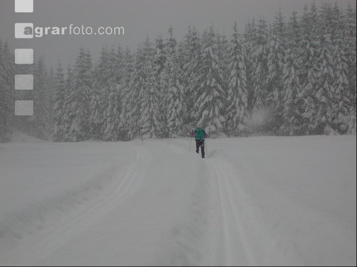 Langlauf 1