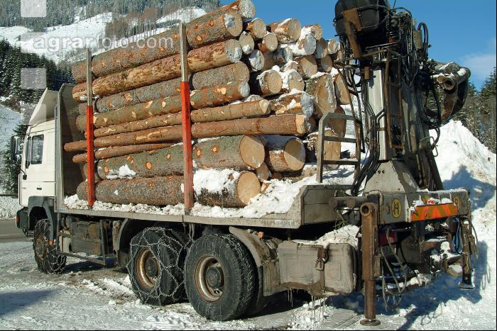 Holzfuhre 1