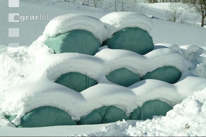 Siloballen Schnee