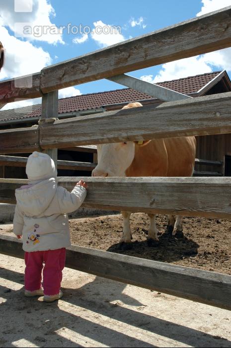 Kind und Kuh