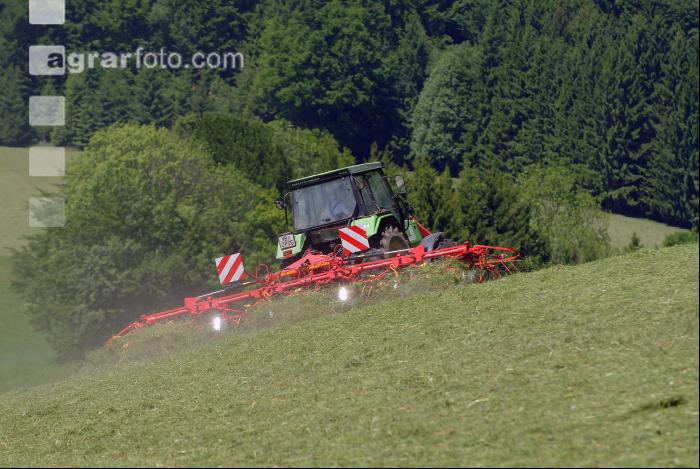 Grünfutter zetten 40